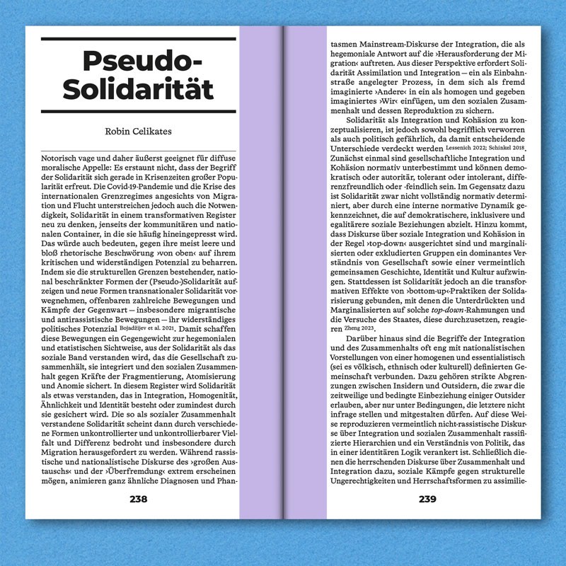Solidaritäten Transformieren Transforming Solidarities
